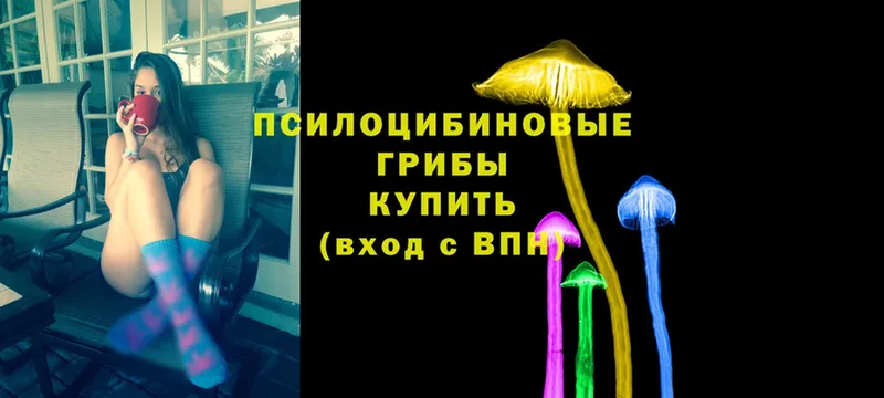 Псилоцибиновые грибы Cubensis  закладки  Аткарск 